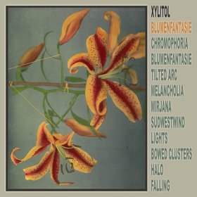 Xylitol - Blumenfantasie [Vinyl, LP]
