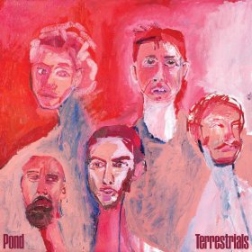 Pond - Terrestrials [CD]