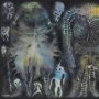 Dinosaur Jr. - There Near