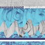 Swansea Sound - Pre-Post-Truth