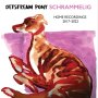 Jetstream Pony - Schrammelig