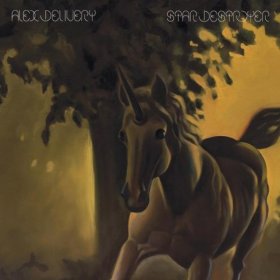 Alex Delivery - Star Destroyer [Vinyl, LP]