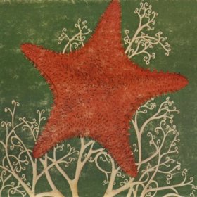 Blithe Sons - Arm Of The Starfish [CD]