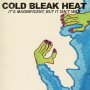 Cold Bleak Heat - It's Magnificent But It Isn't War