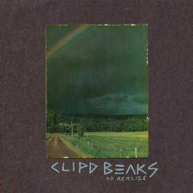 Clipd Beaks - To Realize [CD]