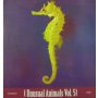 Jookabox / Dosh - Unusual Animals Vol. 5