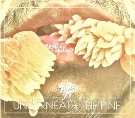 Toro Y Moi - Underneath The Pine [CD]