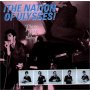 Nation Of Ulysses - Plays Pretty For Baby