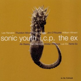 Sonic Youth + The Ex + Icp - In The Fishtank [CD]