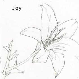 Joy - Joy [CD]
