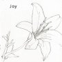 Joy - Joy