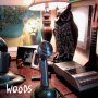 Woods - At Rear House