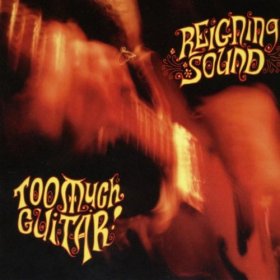 Reigning Sound - Too Much Guitar [CD]