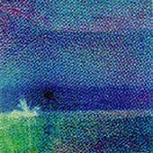 Flying Saucer Attack / Roy Montgomery - Goodbye [CD]