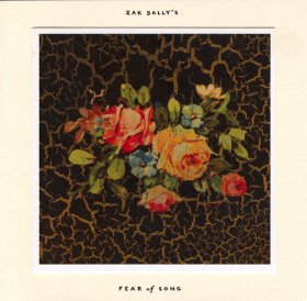 Zak Sally's Fear Of Song - Why We Hide [Vinyl, 7"]