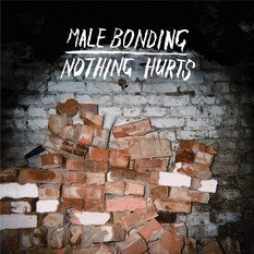 Male Bonding - Nothing Hurts [Vinyl, LP]