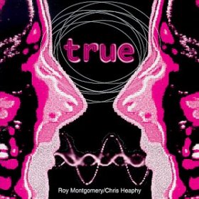 Roy Montgomery - True [CD]