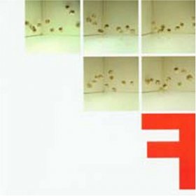 Fontanelle - F [CD]