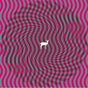 Deerhunter - Cryptograms / Fluorescent Grey [Vinyl, 2LP]