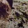 Christina Vantzou - No.1