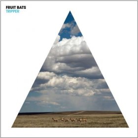 Fruit Bats - Tripper [Vinyl, LP]